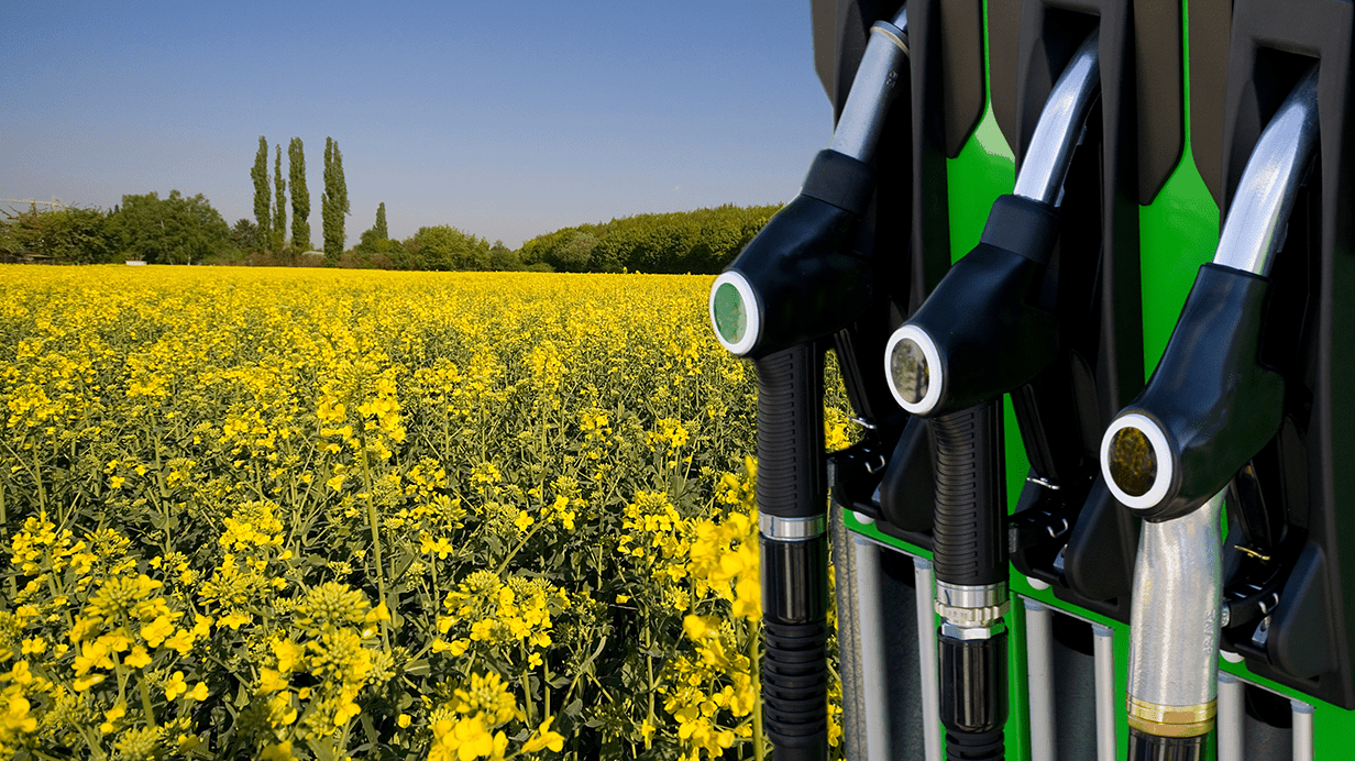 Fueling the Future: Biodiesel’s Rise in Home Heating and the Green Revolution